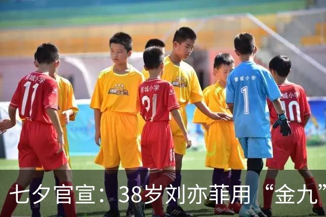 七夕官宣：38岁刘亦菲用“金九”封面和流浪狗回击流言