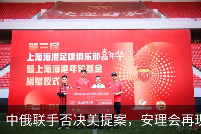 中俄联手否决美提案，安理会再现紧张局势