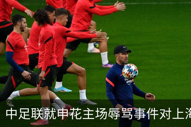 中足联就申花主场辱骂事件对上海赛区通报批评