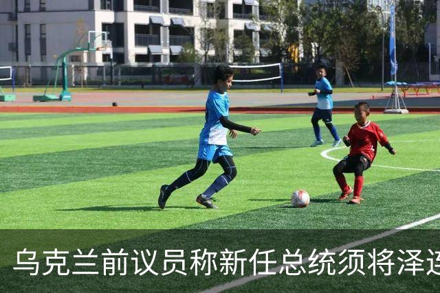 乌克兰前议员称新任总统须将泽连斯基入狱
