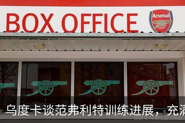 乌度卡谈范弗利特训练进展，充满期待