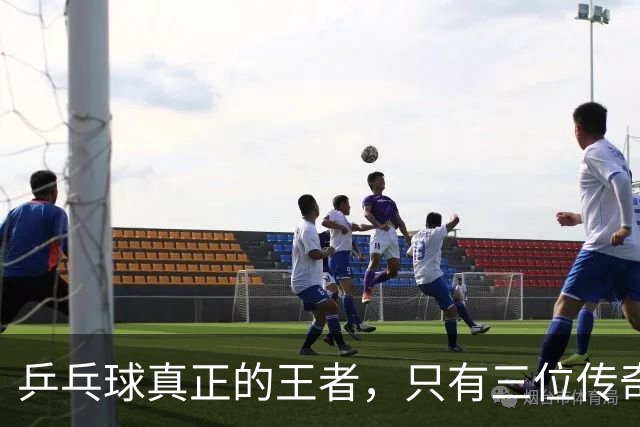 乒乓球真正的王者，只有三位传奇人物