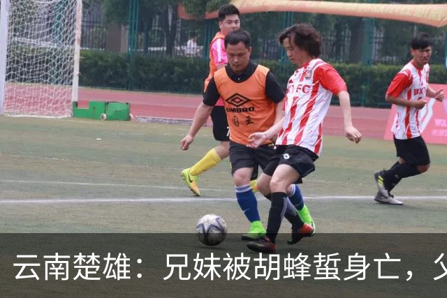 云南楚雄：兄妹被胡蜂蜇身亡，父亲感叹外出务工的无奈