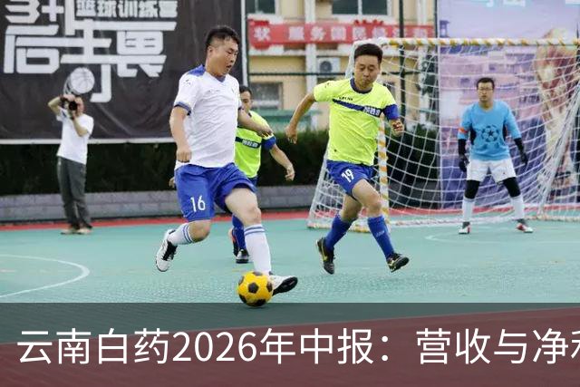 云南白药2026年中报：营收与净利小幅增长