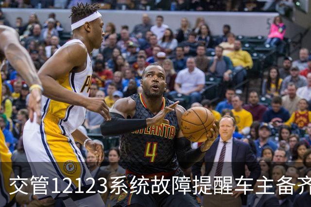 交管12123系统故障提醒车主备齐实体证件的重要性