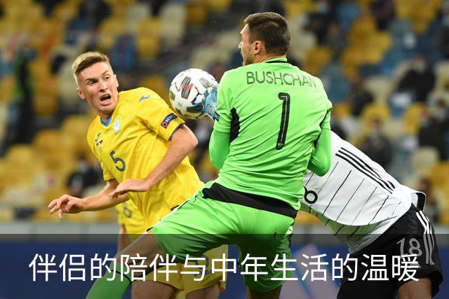 伴侣的陪伴与中年生活的温暖
