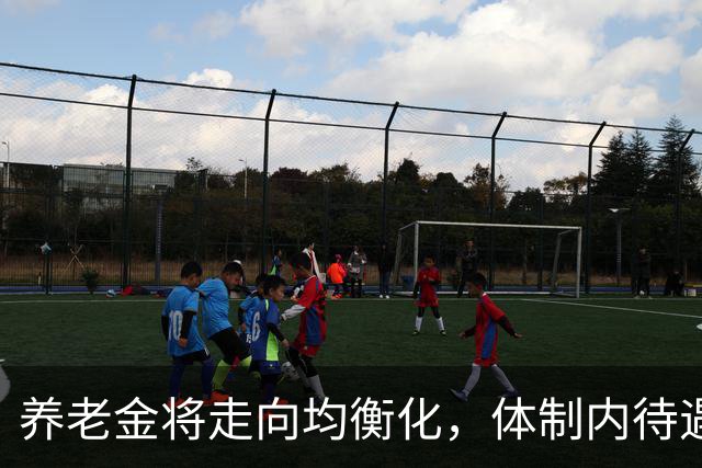 养老金将走向均衡化，体制内待遇难再优于他人