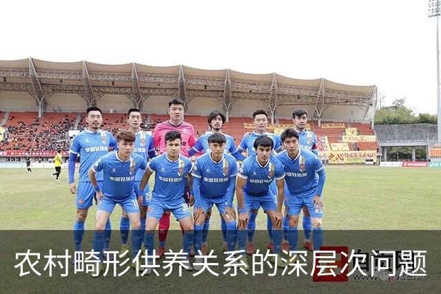 农村畸形供养关系的深层次问题