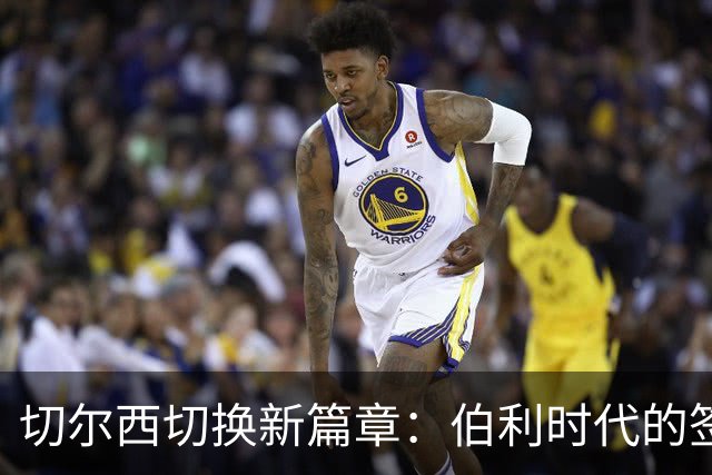切尔西切换新篇章：伯利时代的签约得失回顾