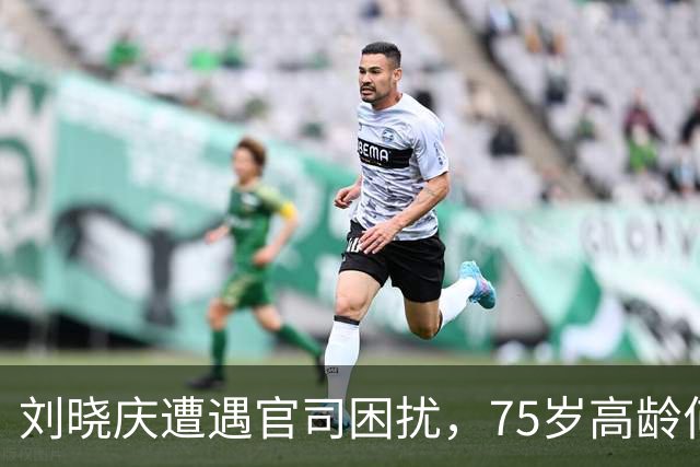 刘晓庆遭遇官司困扰，75岁高龄何以买单？