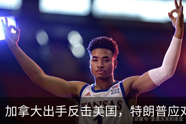 加拿大出手反击美国，特朗普应对北方挑战