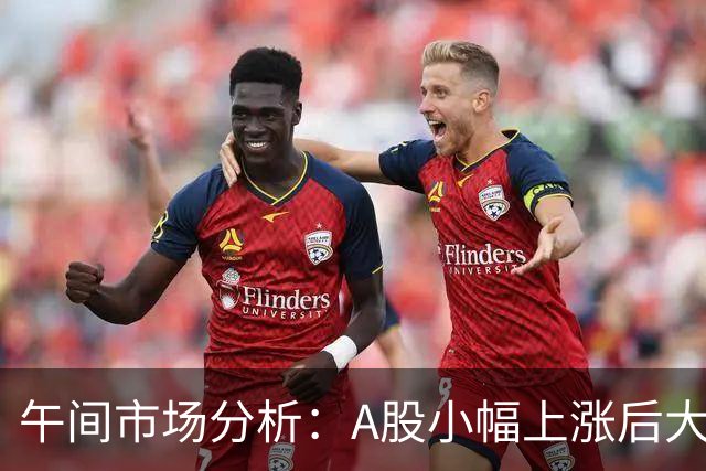 午间市场分析：A股小幅上涨后大幅回落，投资策略如何调整？