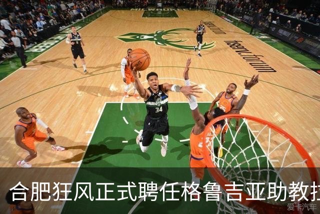 合肥狂风正式聘任格鲁吉亚助教拉迪