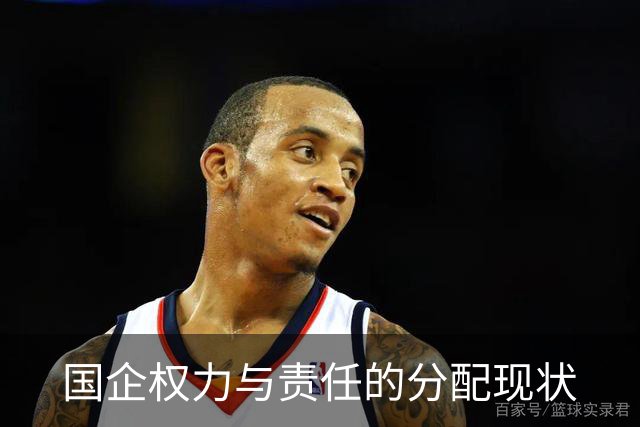国企权力与责任的分配现状