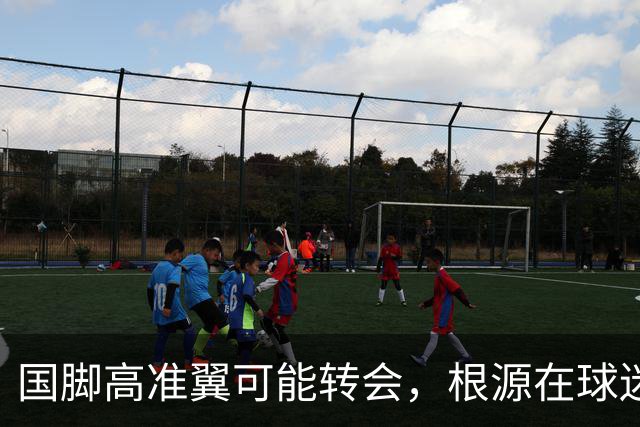 国脚高准翼可能转会，根源在球迷的苛刻要求