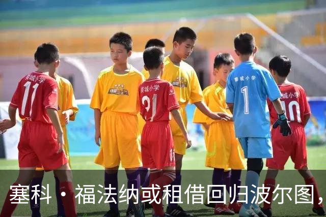 塞科·福法纳或租借回归波尔图，随队征战欧冠