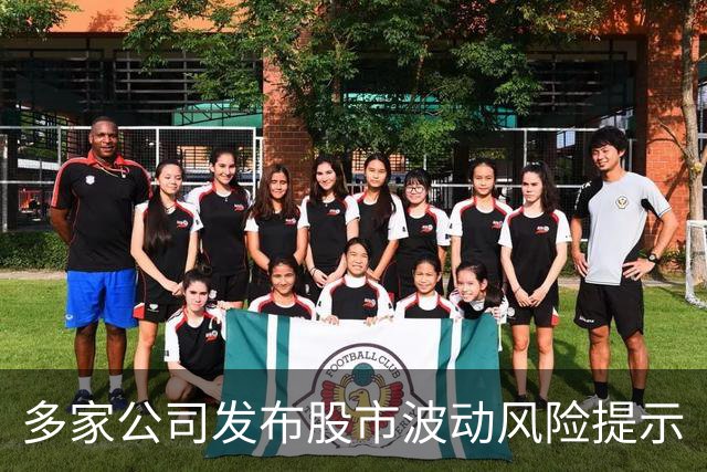 多家公司发布股市波动风险提示