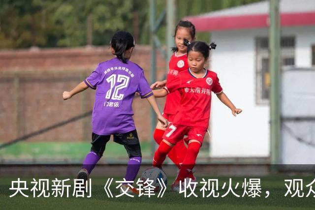 央视新剧《交锋》收视火爆，观众却纷纷选择停看其理由引发讨论