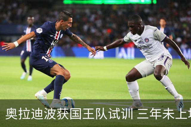 奥拉迪波获国王队试训 三年未上场能否回归成疑