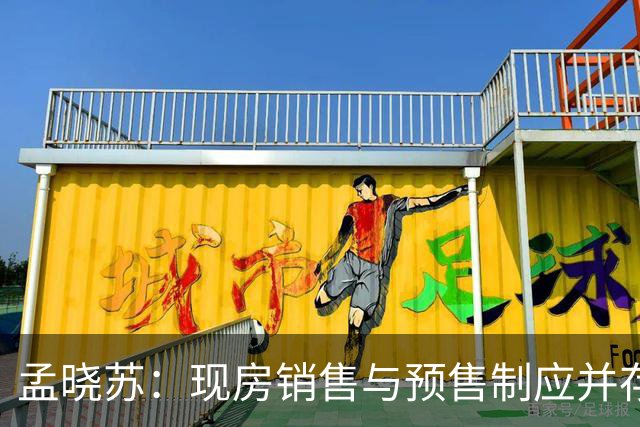 孟晓苏：现房销售与预售制应并存，强化资金监管透明度