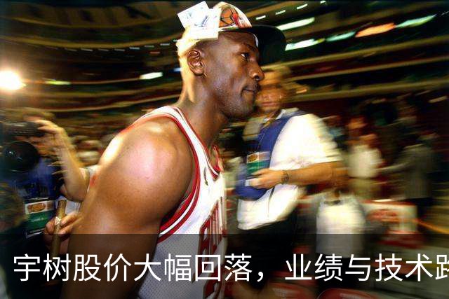 宇树股价大幅回落，业绩与技术路线受关注