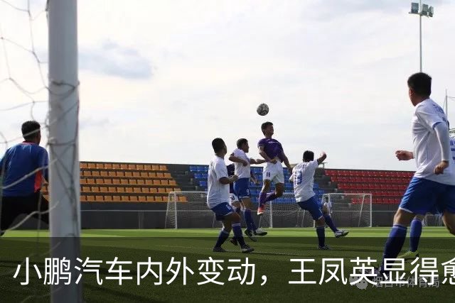 小鹏汽车内外变动，王凤英显得愈发低调