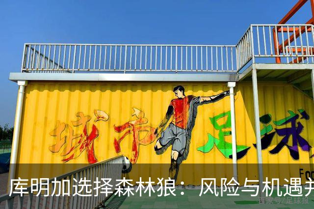 库明加选择森林狼：风险与机遇并存