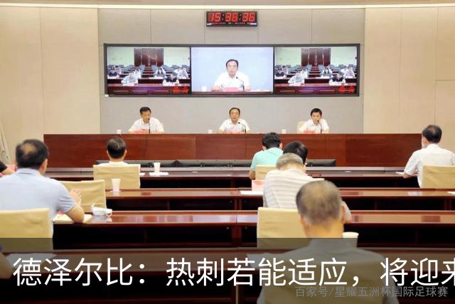 德泽尔比：热刺若能适应，将迎来胜利与进球