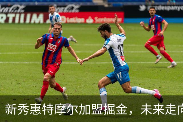 新秀惠特摩尔加盟掘金，未来走向何方？