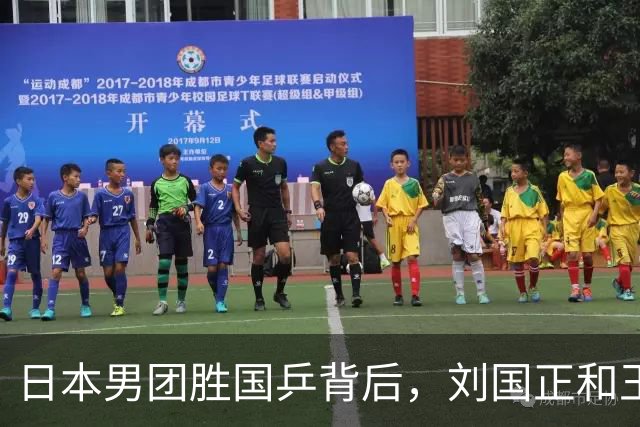 日本男团胜国乒背后，刘国正和王皓的深意