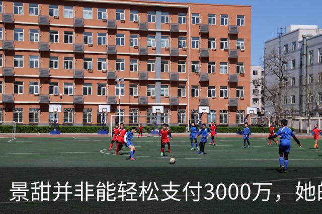 景甜并非能轻松支付3000万，她的财务也有压力