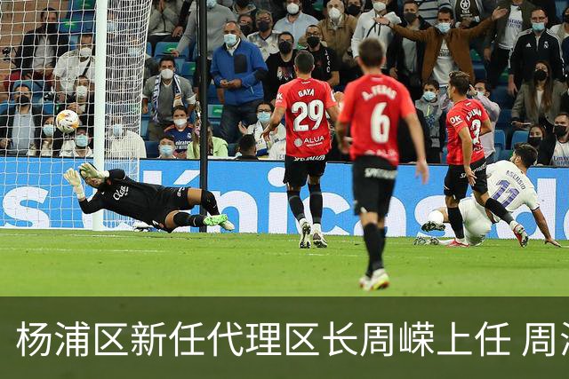 杨浦区新任代理区长周嵘上任 周海鹰辞职