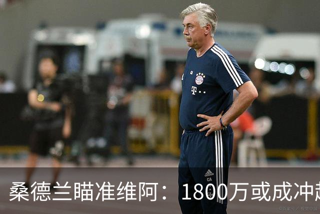 桑德兰瞄准维阿：1800万或成冲超筹码