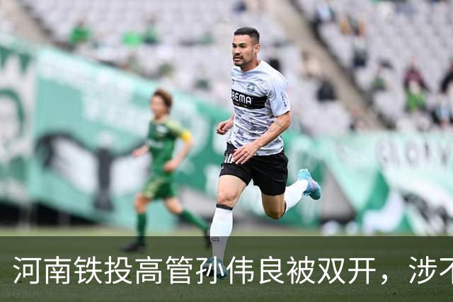 河南铁投高管孙伟良被双开，涉不当费用及权钱交易
