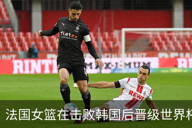 法国女篮在击败韩国后晋级世界杯淘汰赛