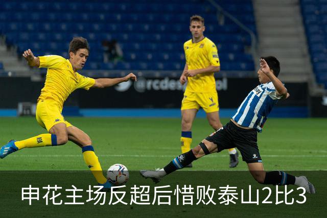 申花主场反超后惜败泰山2比3