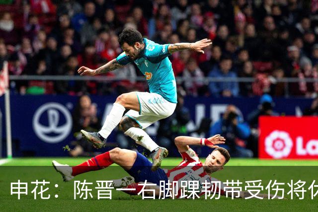 申花：陈晋一右脚踝韧带受伤将休战数周