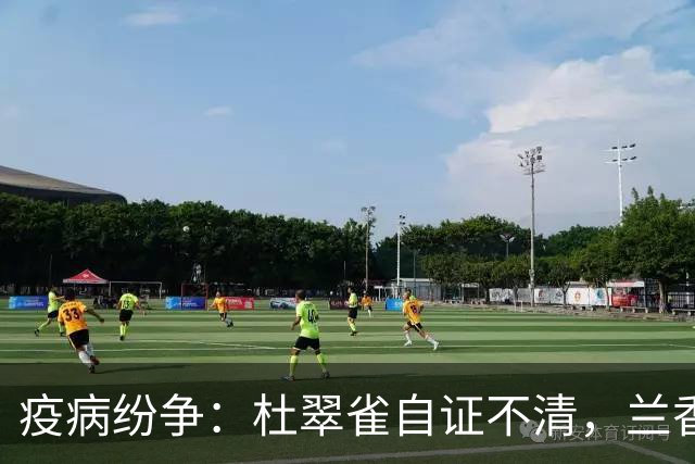 疫病纷争：杜翠雀自证不清，兰香求脱籍引情愫