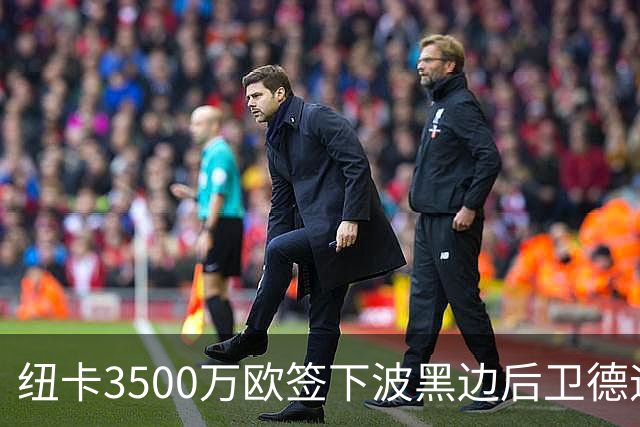纽卡3500万欧签下波黑边后卫德迪奇