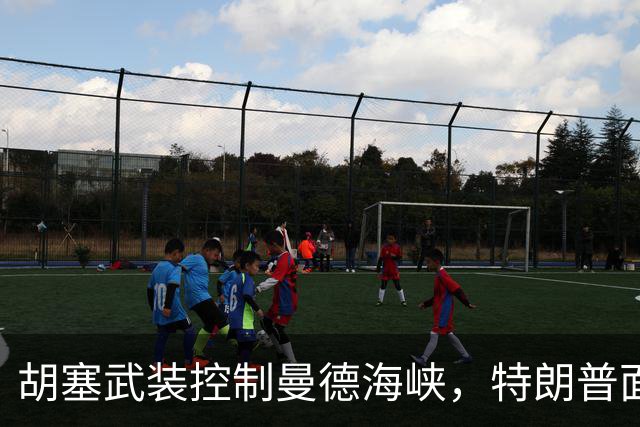 胡塞武装控制曼德海峡，特朗普面临困境