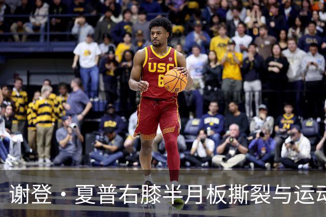 谢登·夏普右膝半月板撕裂与运动型天赋的风险