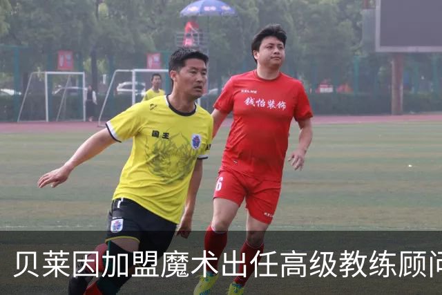 贝莱因加盟魔术出任高级教练顾问