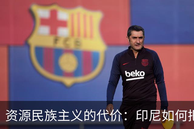 资源民族主义的代价：印尼如何把经济推回十几二十年