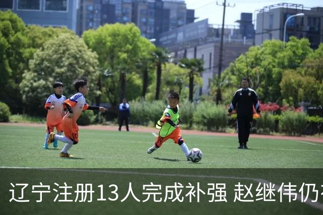 辽宁注册13人完成补强 赵继伟仍有3年顶薪