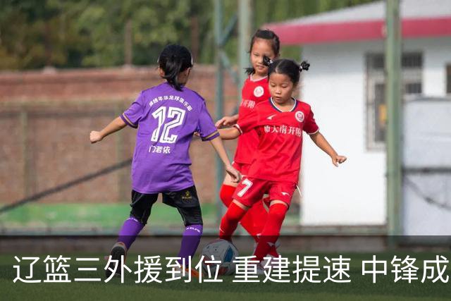 辽篮三外援到位 重建提速 中锋成最大隐忧