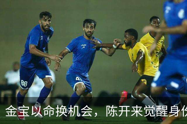金宝以命换机会，陈开来觉醒身份真相