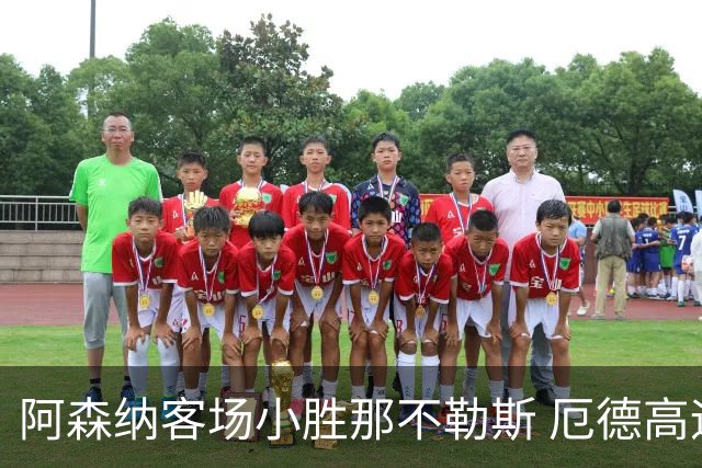 阿森纳客场小胜那不勒斯 厄德高远射打入首场欧冠进球