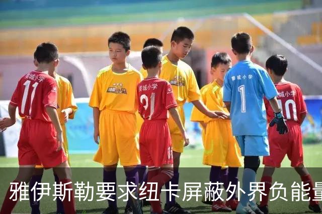 雅伊斯勒要求纽卡屏蔽外界负能量，专注可控之事