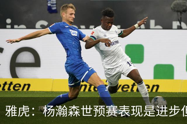 雅虎：杨瀚森世预赛表现是进步但非定论