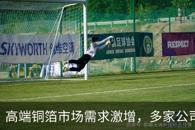 高端铜箔市场需求激增，多家公司业绩有望持续增长